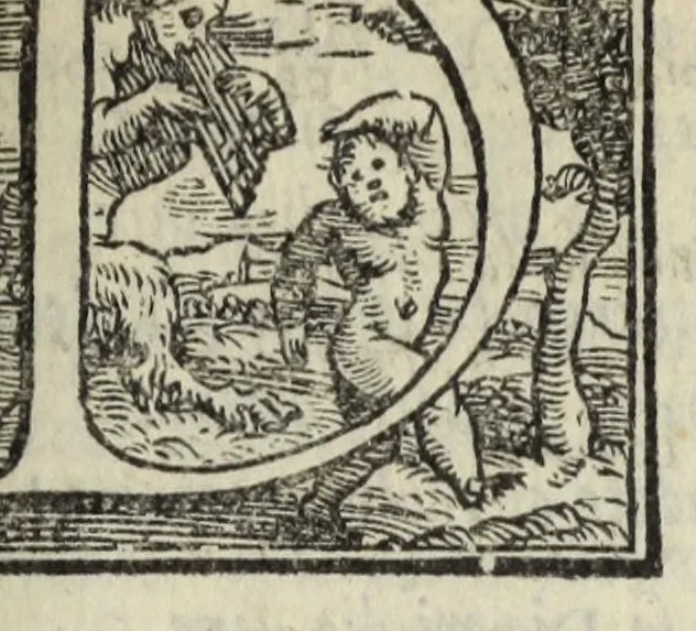 An illustration from Le cento novelle da messer Vincenzo Brugiantino, dette in ottava rima, 1554, leaf 389
