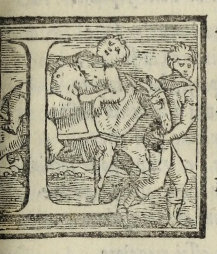 An illustration from Le cento novelle da messer Vincenzo Brugiantino, dette in ottava rima, 1554, leaf 395