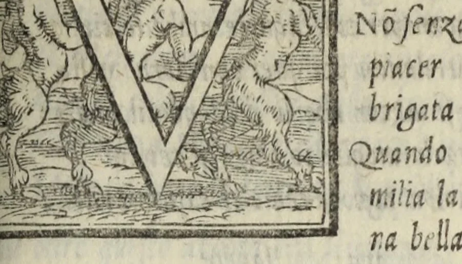 An illustration from Le cento novelle da messer Vincenzo Brugiantino, dette in ottava rima, 1554, leaf 401