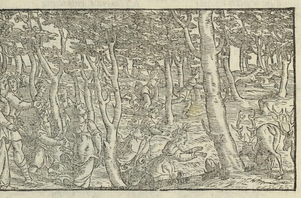 An illustration from Le cento novelle da messer Vincenzo Brugiantino, dette in ottava rima, 1554, leaf 455
