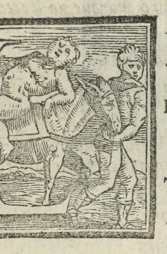 An illustration from Le cento novelle da messer Vincenzo Brugiantino, dette in ottava rima, 1554, leaf 455