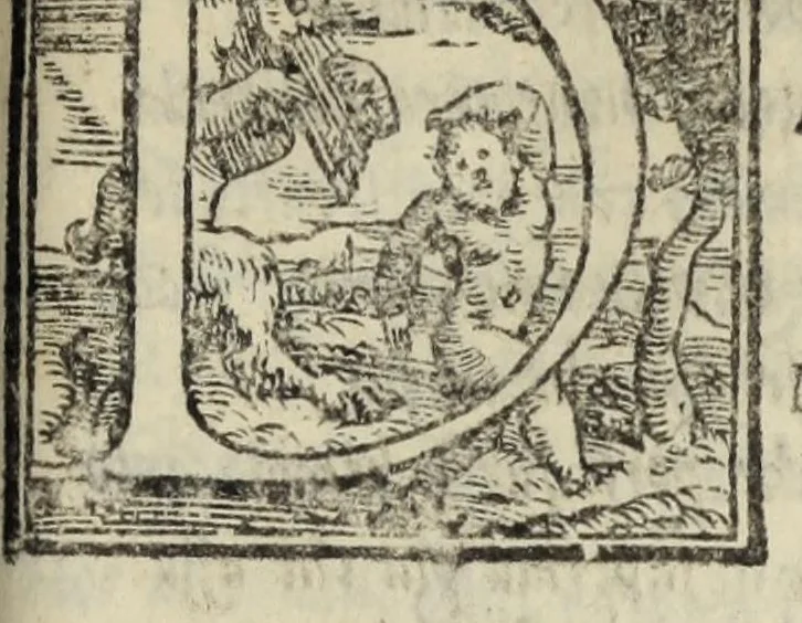 An illustration from Le cento novelle da messer Vincenzo Brugiantino, dette in ottava rima, 1554, leaf 491