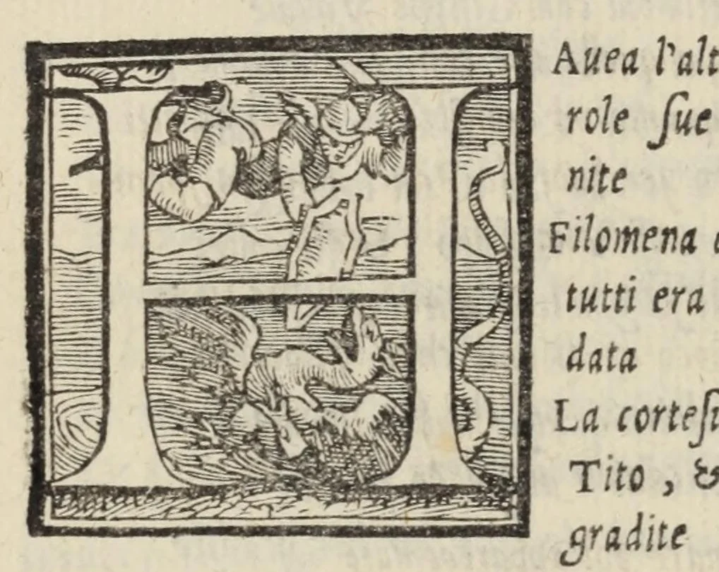 An illustration from Le cento novelle da messer Vincenzo Brugiantino, dette in ottava rima, 1554, leaf 540