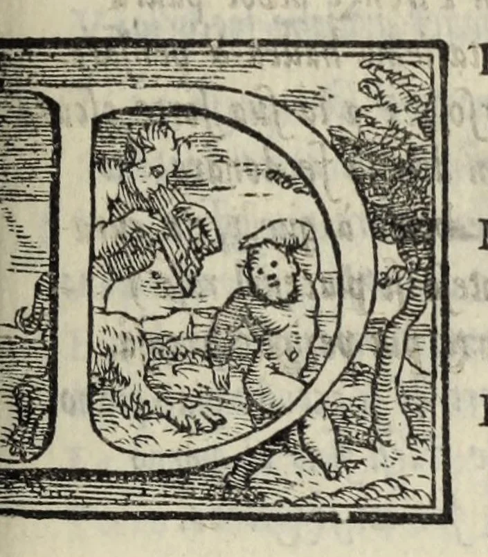 An illustration from Le cento novelle da messer Vincenzo Brugiantino, dette in ottava rima, 1554, leaf 61