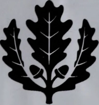 An illustration from Le chateau féodal de Saint-Jean à Nogent-le-Rotrou : ses transformations dans le cours des siècles, 1912, leaf 220