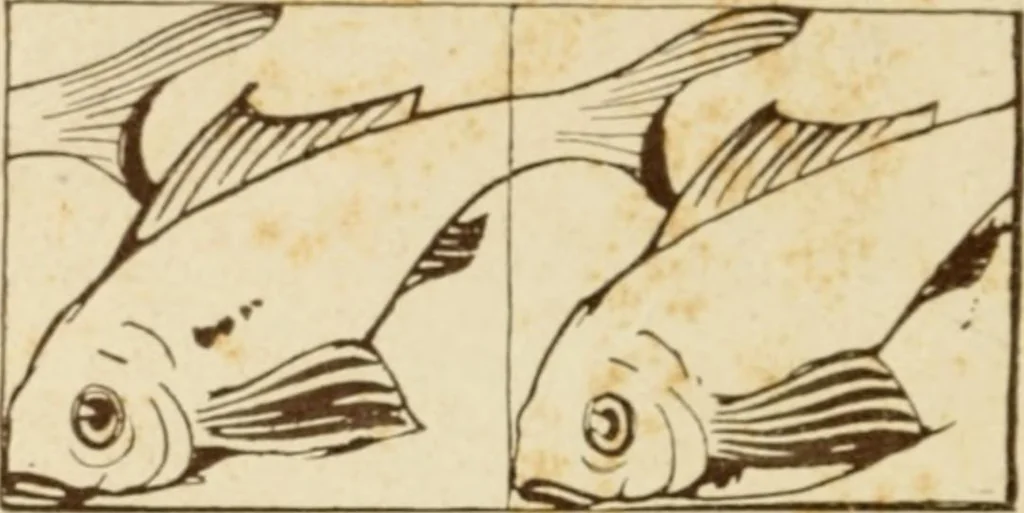 An illustration from Le chiese de Roma I, 1910, leaf 85