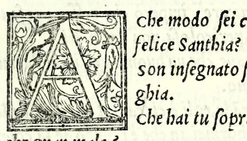 An illustration from Le comedie de'l facetissimo Aristofane, 1545, leaf 289