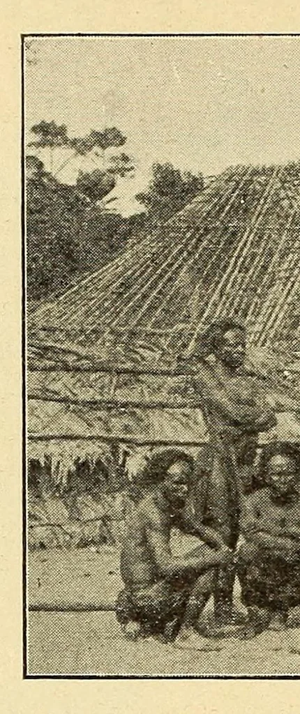 An illustration from Le Congo belge : initiation à la colonisation nationale, 1909, leaf 100