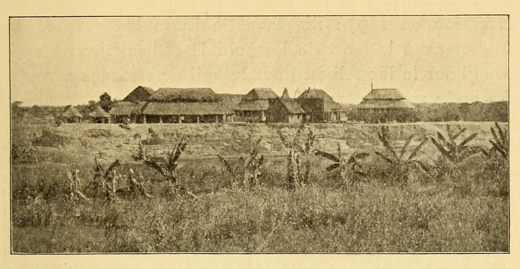 An illustration from Le Congo belge : initiation à la colonisation nationale, 1909, leaf 123