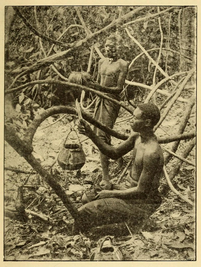 An illustration from Le Congo belge : initiation à la colonisation nationale, 1909, leaf 137