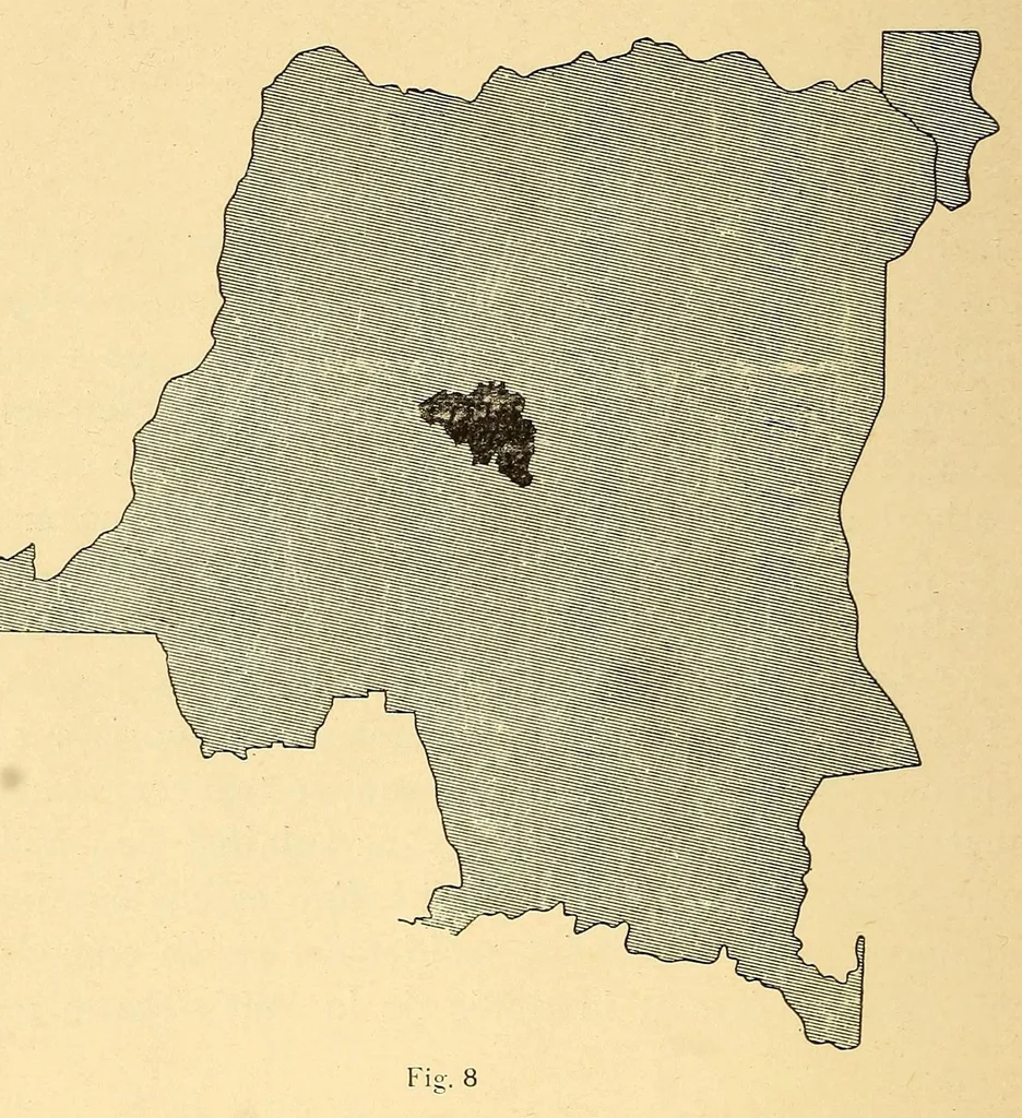 An illustration from Le Congo belge : initiation à la colonisation nationale, 1909, leaf 42