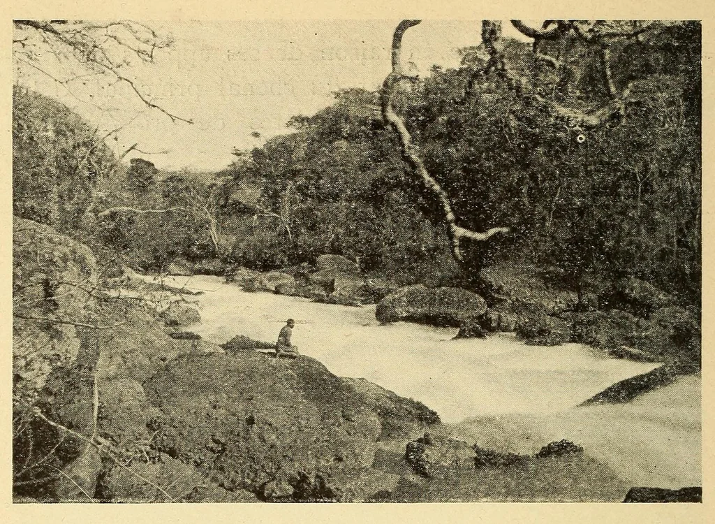 An illustration from Le Congo belge : initiation à la colonisation nationale, 1909, leaf 66