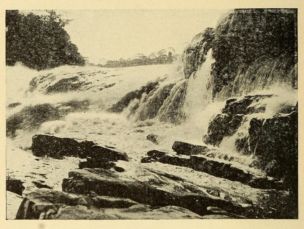 An illustration from Le Congo belge : initiation à la colonisation nationale, 1909, leaf 70