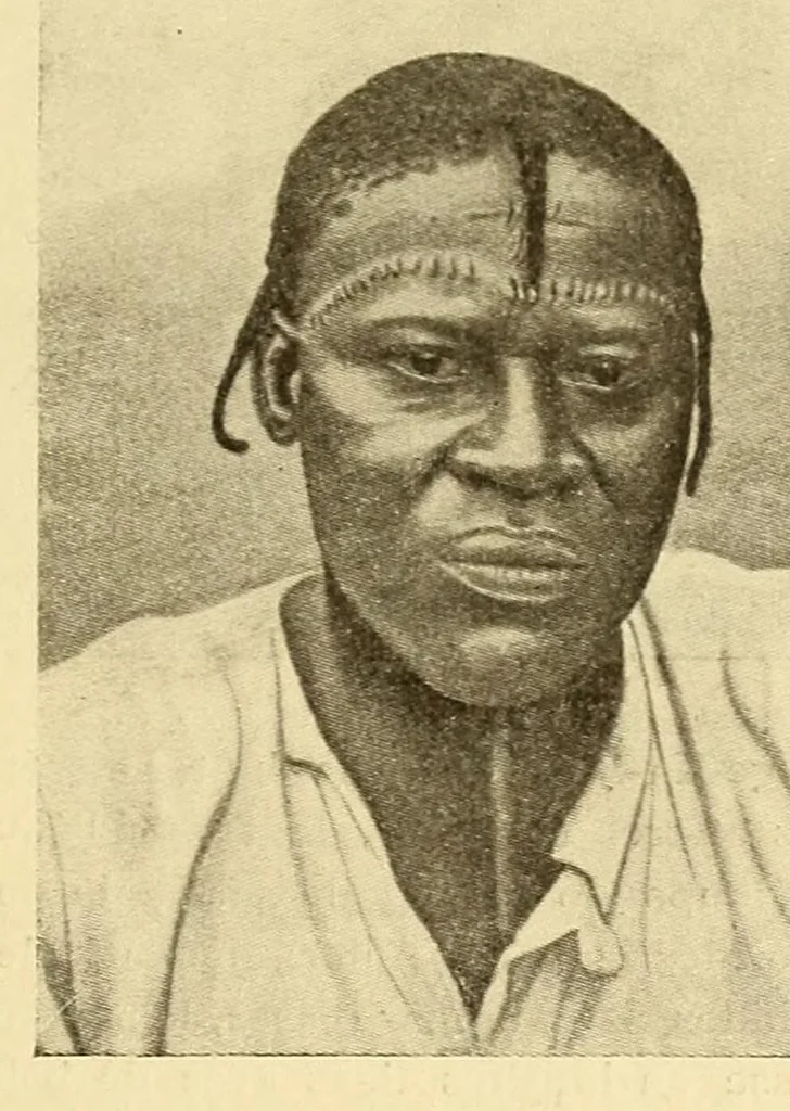 An illustration from Le Congo belge : initiation à la colonisation nationale, 1909, leaf 91