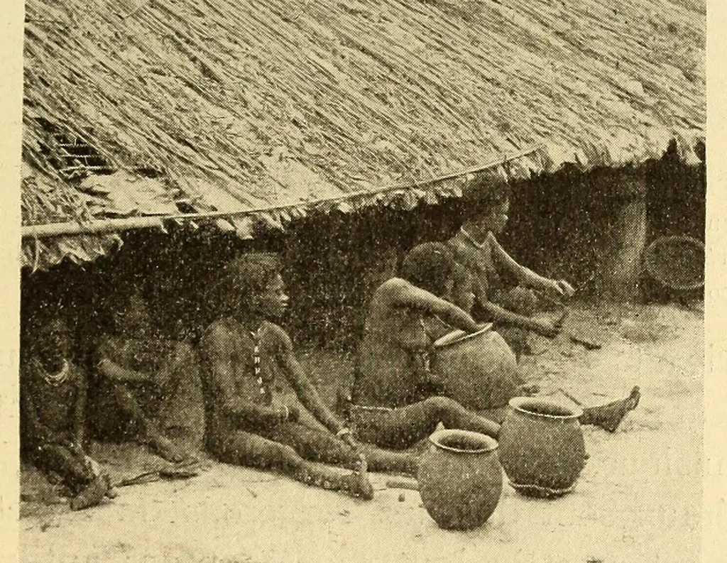 An illustration from Le Congo belge : initiation à la colonisation nationale, 1909, leaf 95