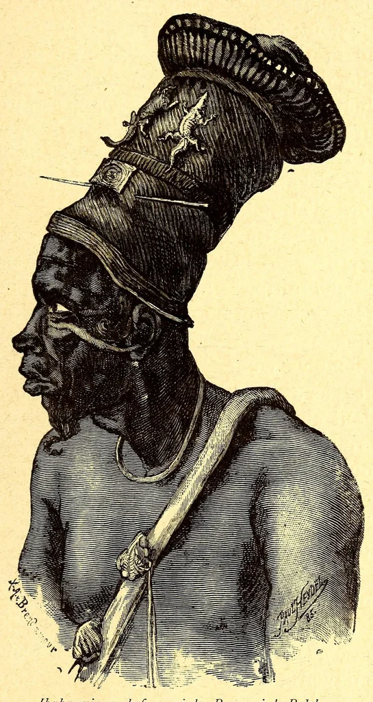 An illustration from Le Congo français illustré : géographie, ethnographie et histoire générale des découvertes dan le Bassin du Congo, 1890, leaf 193
