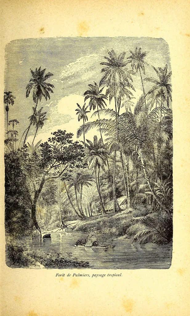 An illustration from Le Congo français illustré : géographie, ethnographie et histoire générale des découvertes dan le Bassin du Congo, 1890, leaf 49
