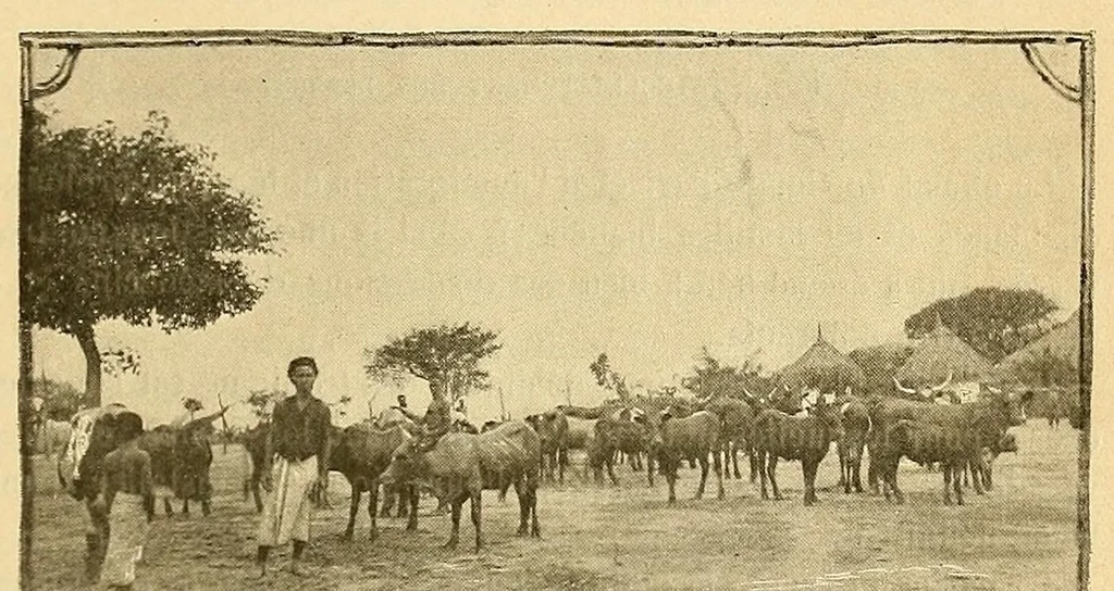 An illustration from ... Le Congo, historique, diplomatique, physique, politique, économique, humanitaire & colonial, ouvrage contenant une grande carte en quatre feuilles, tirée en couleurs, 1894, leaf 719