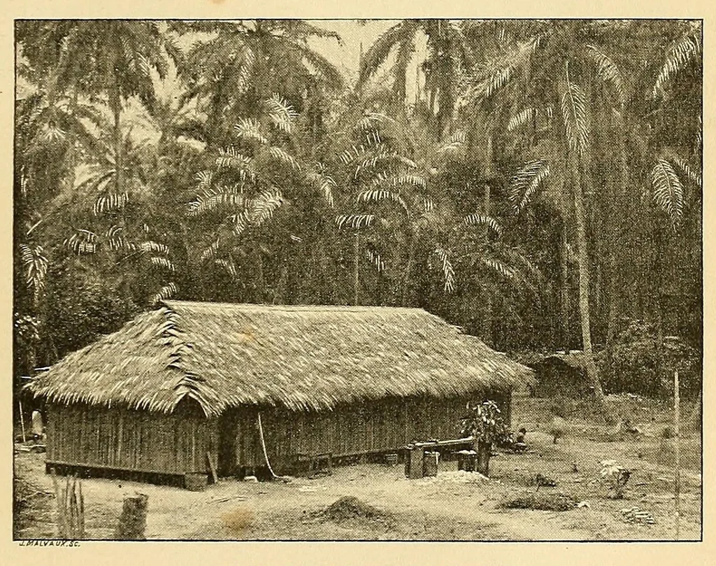 An illustration from ... Le Congo, historique, diplomatique, physique, politique, économique, humanitaire & colonial, ouvrage contenant une grande carte en quatre feuilles, tirée en couleurs, 1894, leaf 759