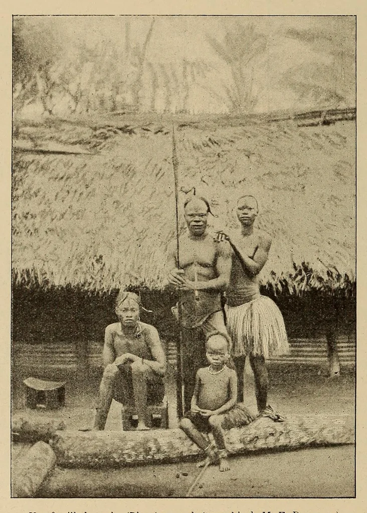 An illustration from Le Congo illustré, 1891, leaf 186