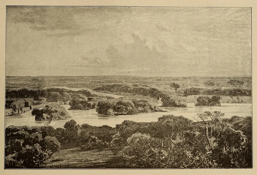 An illustration from Le Congo illustré, 1891, leaf 199