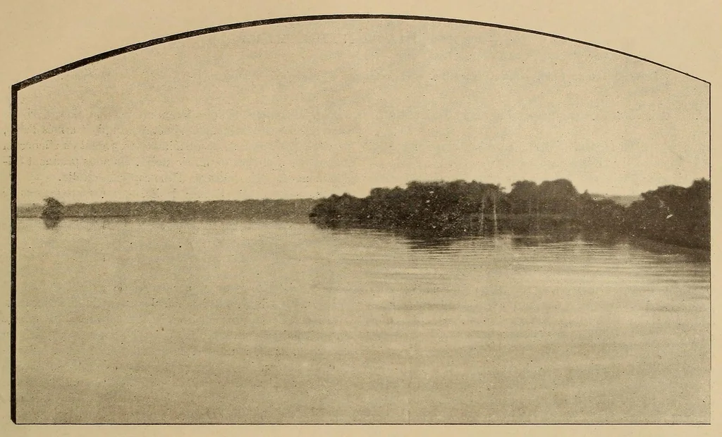An illustration from Le Congo illustré, 1891, leaf 215