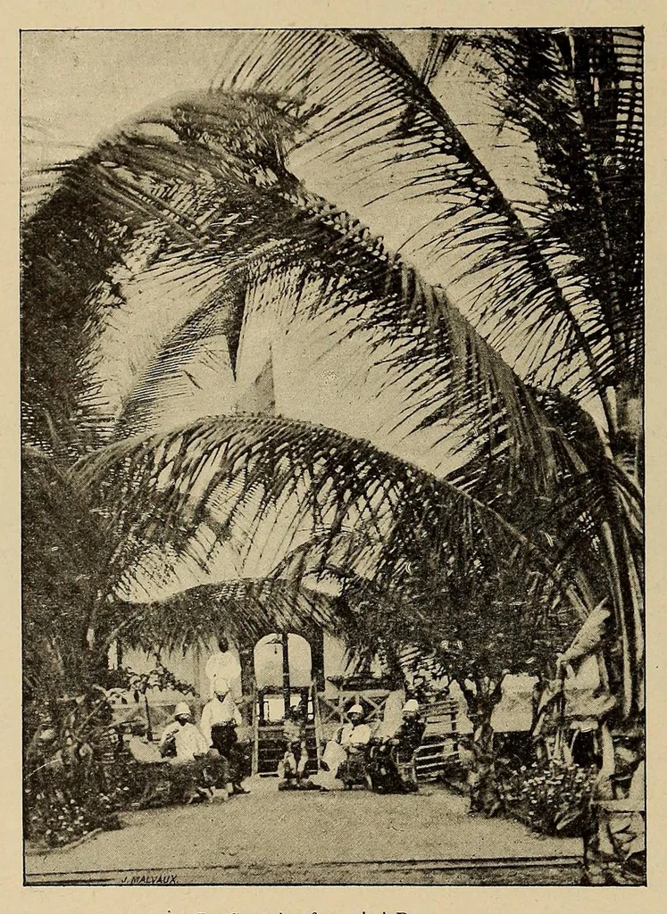 An illustration from Le Congo illustré, 1891, leaf 50