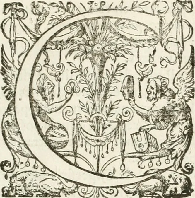 An illustration from Leçons de perspective positive, 1676, leaf 8