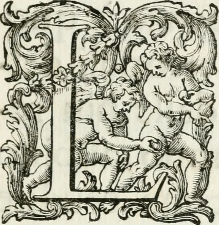 An illustration from Le corone del merito solennemente distribuite sul Campidoglio il dì 19. aprile MDCCIII. dall'Accademia del disegno : presedendo Carlo Maratti, celebre dipintore, 1703, leaf 10