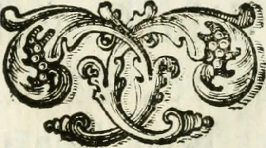 An illustration from Le corone del merito solennemente distribuite sul Campidoglio il dì 19. aprile MDCCIII. dall'Accademia del disegno : presedendo Carlo Maratti, celebre dipintore, 1703, leaf 14