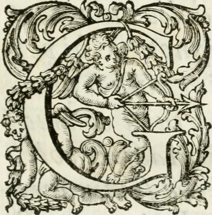 An illustration from Le corone del merito solennemente distribuite sul Campidoglio il dì 19. aprile MDCCIII. dall'Accademia del disegno : presedendo Carlo Maratti, celebre dipintore, 1703, leaf 18