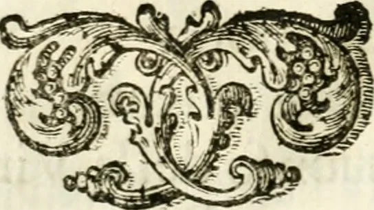 An illustration from Le corone del merito solennemente distribuite sul Campidoglio il dì 19. aprile MDCCIII. dall'Accademia del disegno : presedendo Carlo Maratti, celebre dipintore, 1703, leaf 31