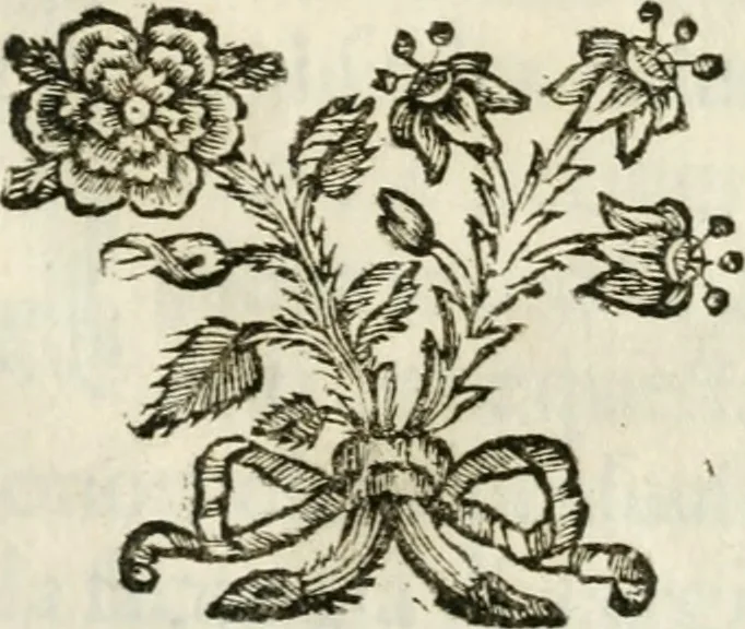An illustration from Le corone del merito solennemente distribuite sul Campidoglio il dì 19. aprile MDCCIII. dall'Accademia del disegno : presedendo Carlo Maratti, celebre dipintore, 1703, leaf 34