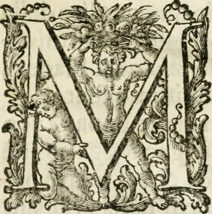 An illustration from Le corone del merito solennemente distribuite sul Campidoglio il dì 19. aprile MDCCIII. dall'Accademia del disegno : presedendo Carlo Maratti, celebre dipintore, 1703, leaf 36