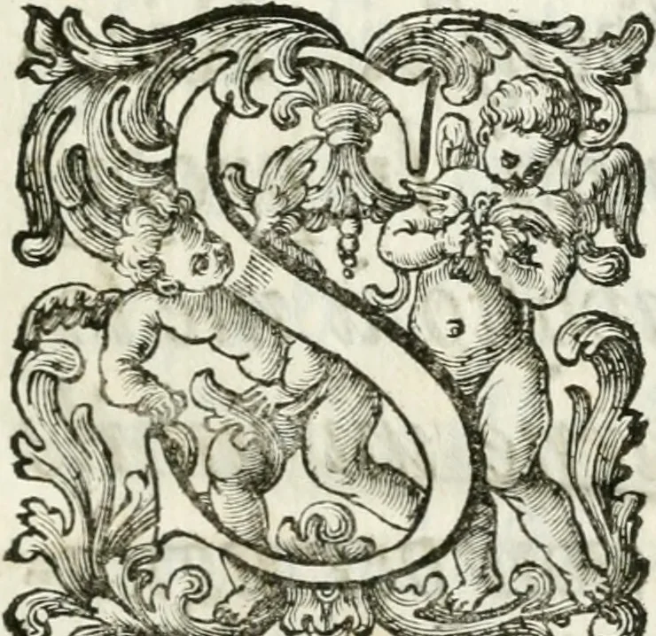 An illustration from Le corone del merito solennemente distribuite sul Campidoglio il dì 19. aprile MDCCIII. dall'Accademia del disegno : presedendo Carlo Maratti, celebre dipintore, 1703, leaf 6