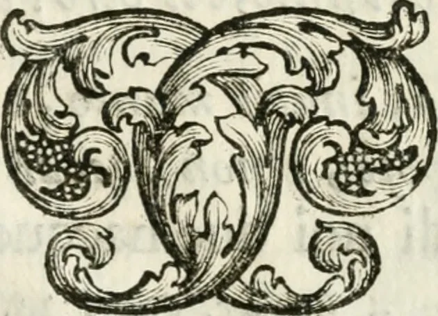 An illustration from Le corone del merito solennemente distribuite sul Campidoglio il dì 19. aprile MDCCIII. dall'Accademia del disegno : presedendo Carlo Maratti, celebre dipintore, 1703, leaf 66