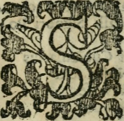 An illustration from Le cose maravigliose dell'alma citta di Roma : anfiteatro del mondo, 1600, leaf 108