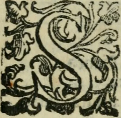 An illustration from Le cose maravigliose dell'alma citta di Roma : anfiteatro del mondo, 1600, leaf 188