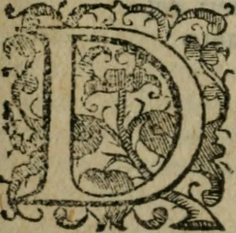 An illustration from Le cose maravigliose dell'alma citta di Roma : anfiteatro del mondo, 1600, leaf 19