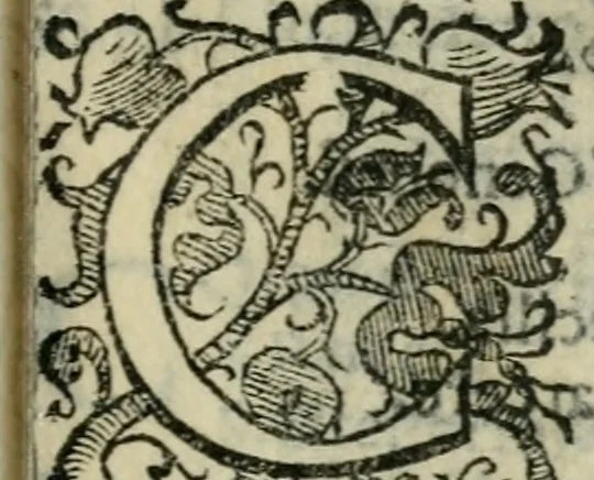 An illustration from Le cose maravigliose dell'alma citta di Roma : anfiteatro del mondo, 1600, leaf 192