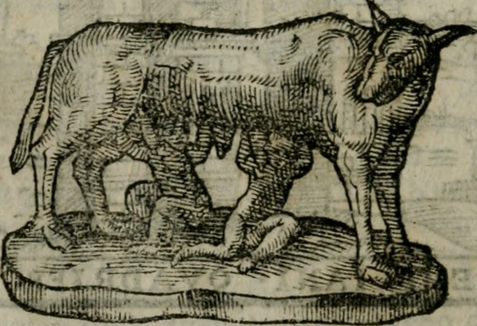 An illustration from Le cose maravigliose dell'alma citta di Roma : anfiteatro del mondo, 1600, leaf 205