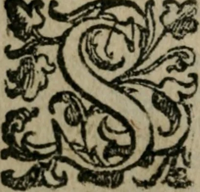 An illustration from Le cose maravigliose dell'alma citta di Roma : anfiteatro del mondo, 1600, leaf 21