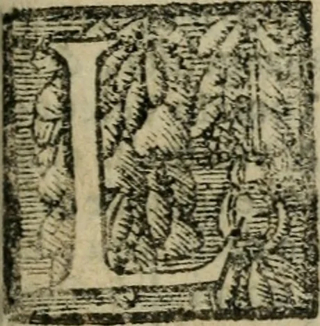 An illustration from Le cose maravigliose dell'alma citta di Roma : anfiteatro del mondo, 1600, leaf 22