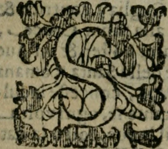 An illustration from Le cose maravigliose dell'alma citta di Roma : anfiteatro del mondo, 1600, leaf 27