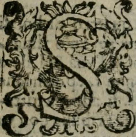 An illustration from Le cose maravigliose dell'alma citta di Roma : anfiteatro del mondo, 1600, leaf 29
