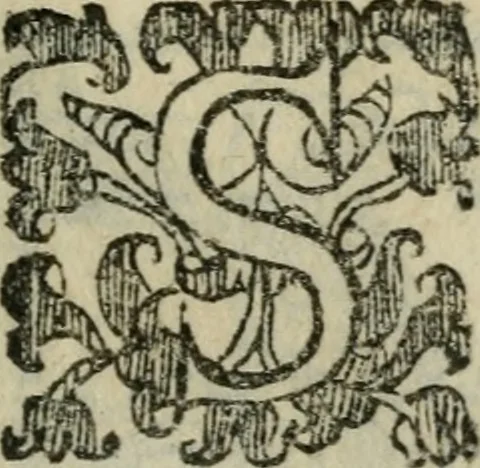 An illustration from Le cose maravigliose dell'alma citta di Roma : anfiteatro del mondo, 1600, leaf 32