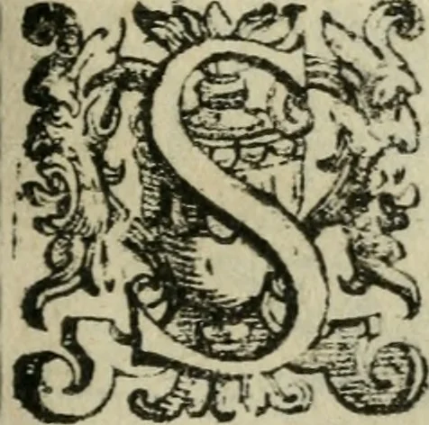 An illustration from Le cose maravigliose dell'alma citta di Roma : anfiteatro del mondo, 1600, leaf 36