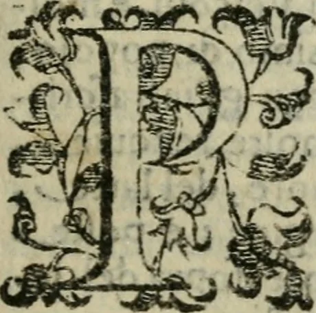An illustration from Le cose maravigliose dell'alma citta di Roma : anfiteatro del mondo, 1600, leaf 38