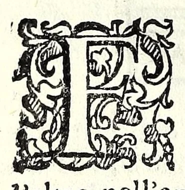 An illustration from Le cose maravigliose dell'alma città di Roma : dove si veggono il movimento delle guglie, & gli acquedutti per condurre l'Acqua Felice, le ample e commode strade, fatte à beneficio publico dal santissimo Sisto V. P.O.M. : et si tratta delle chiese, rappresentate in disegno da Gieronimo Francino, con le stationi, & reliquie de' corpi santi che vi sono, et vn trattato del modo d'acquistare l'indulgenze : la guida romana, che insegna facilmente à i forastieri à ritrouare le più notabili cose di Roma : li nomi de i sommi pontefici, imperatori, & altri principi christiani : il numero delle parrocchie & compagnie che sono in Roma : l'antichità di Roma, breuemente raccolta : & vn discorso sopra li fuochi de gli antichi, 1588, leaf 102