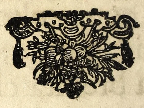 An illustration from Le cose notabili et marauigliose della città di Venetia, 1666, leaf 12